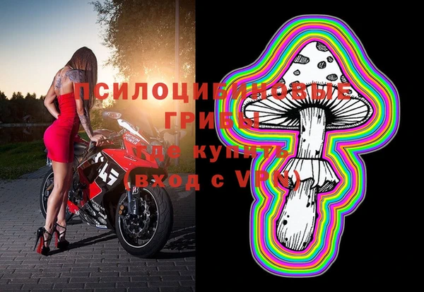 а пвп мука Покачи