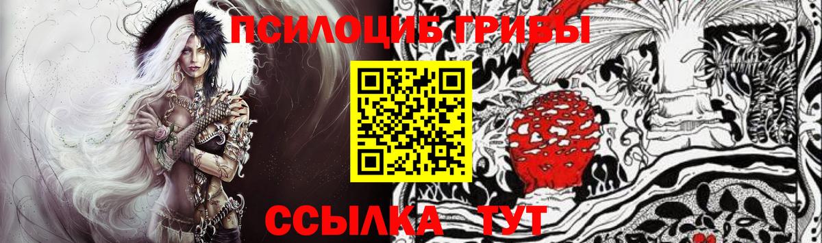 Псилоцибиновые грибы мицелий  Выборг 