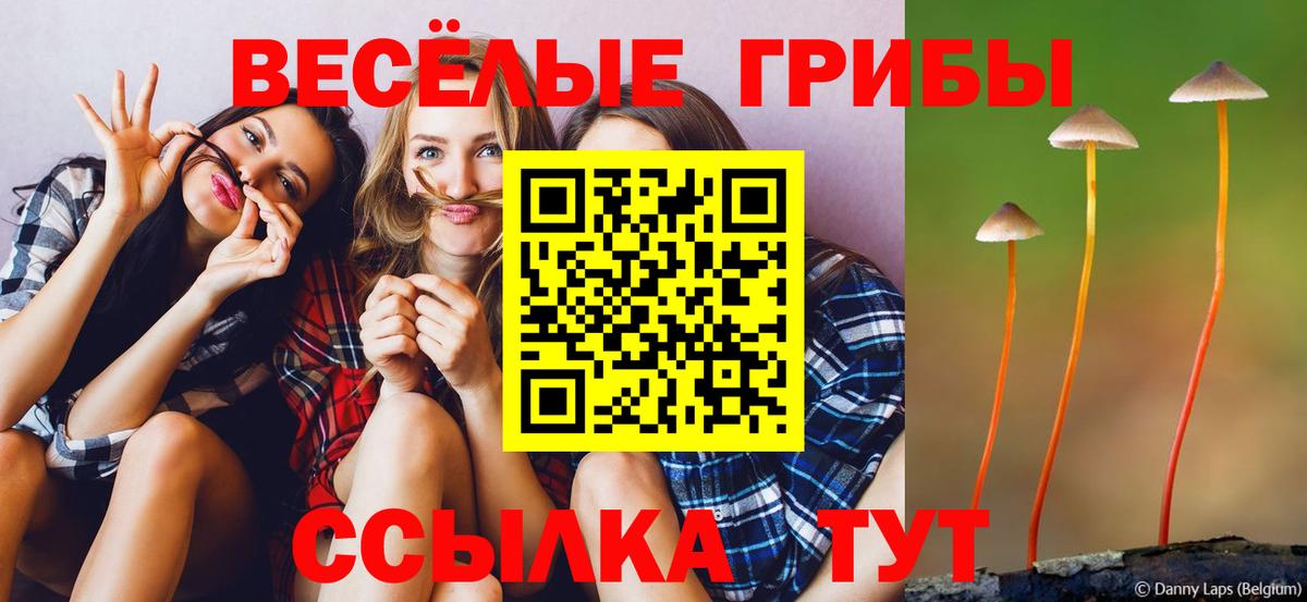 Галлюциногенные грибы мухоморы Выборг