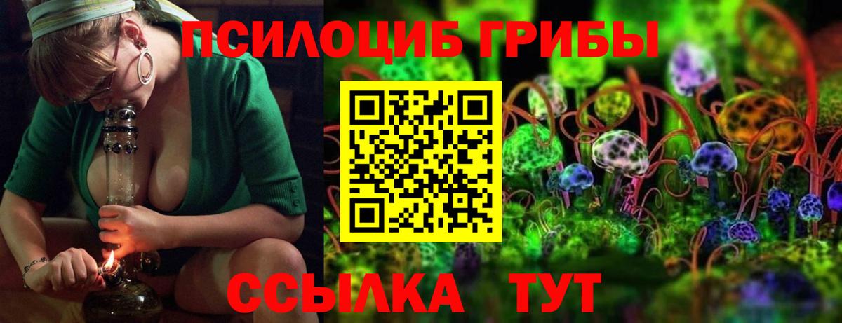 Выборг  Галлюциногенные грибы MAGIC MUSHROOMS  Псилоцибиновые грибы Psilocybine cubensis  продажа наркотиков  Вход с VPN 