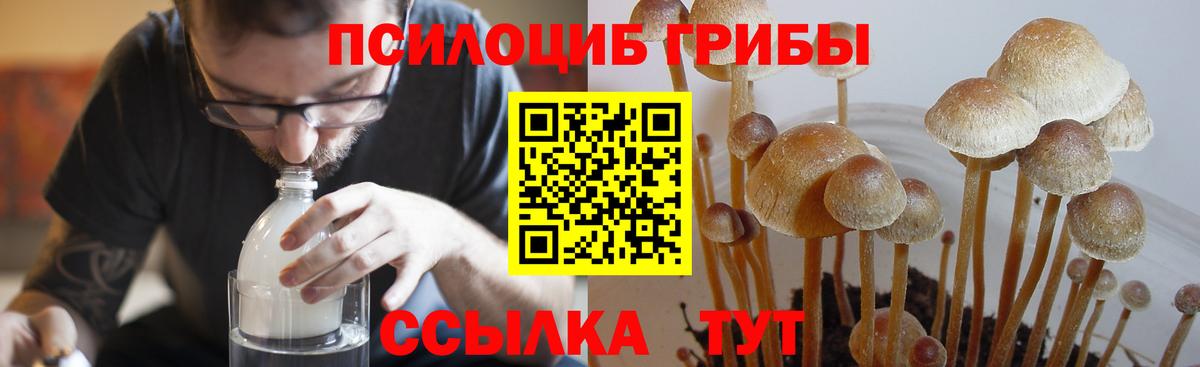COCAIN  Кодеин  Ketamine  Бошки Шишки  Мяу-Мяу  АМФЕТАМИН  Выборг  Мефедрон  ГАШИШ  Вход с VPN  Мед 