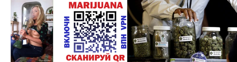 Конопля Bruce Banner  Выборг 